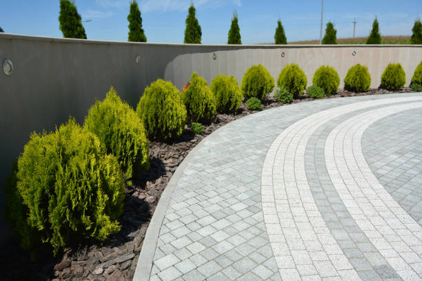 Best Local Driveway Pavers  in Tome, NM
